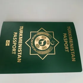 Паспорт и загран паспорт