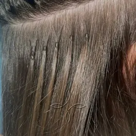 sac dakyas sac satyas