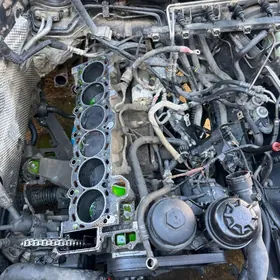 mator 2.5 gosa vanus