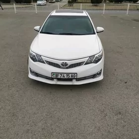 Toyota Camry 2014