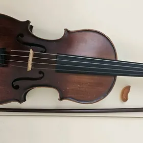 скрипка,skripka