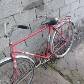 28 lik tigir orsyñky