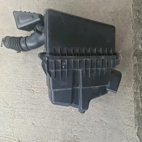 Sienna Wozduk baçok.