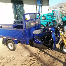 Fekon FK200-14G 2026