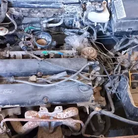 morda zapcas Ford fokus 2001