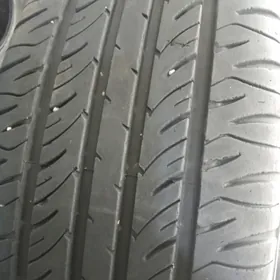 Tuty awolonuň yratnoýy 16lyk