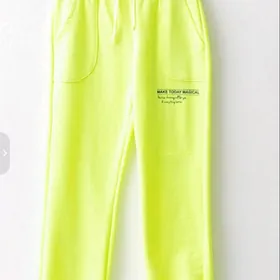 спортивные брюки