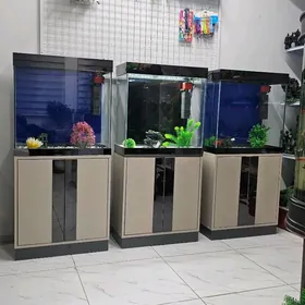 taze akwaryym 120 litr