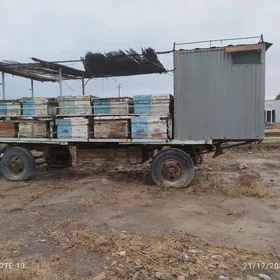 aru ary pirsep (teleşge)