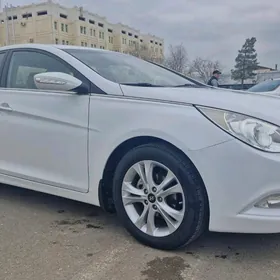 Hyundai Sonata 2010