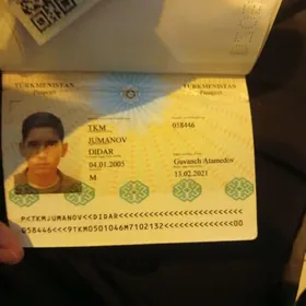 maşynda sumkosy gln