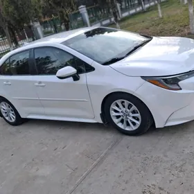 Toyota Corolla 2020