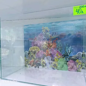 Аквариум Akwarium akvarim