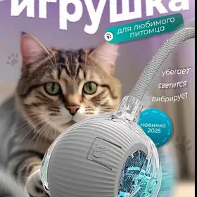 Интерактивная игрушка кошек