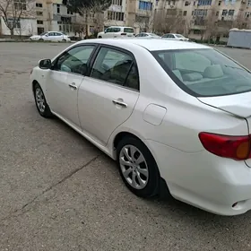 Toyota Corolla 2008