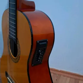 Gitara FLEWART