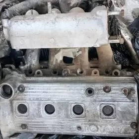 Терсел головка