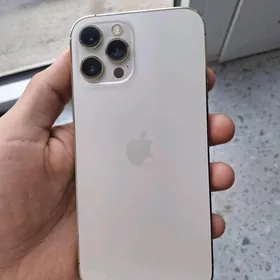 iPhone 12 Pro Max 256GB