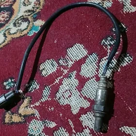 katalzatyr datjik 67