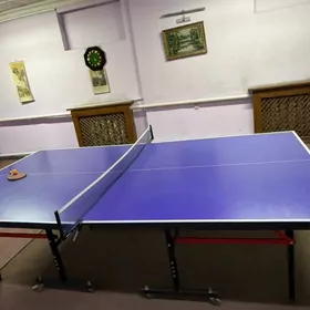 тенисный стол