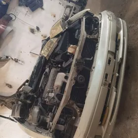 Wisda wisda cemry zapjast