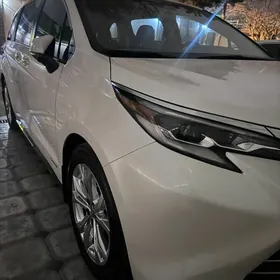 Toyota Sienna 2020