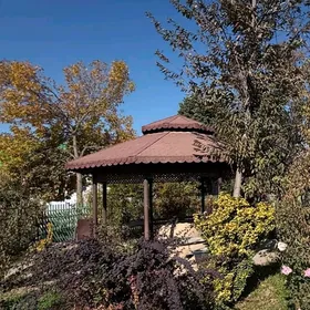 Беседка срочно, besedka sroçno