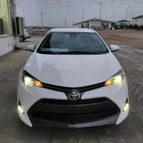 Toyota Corolla 2019