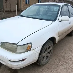 Toyota Corolla 1995