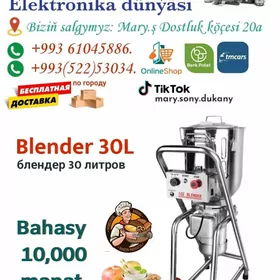 Blender 30L