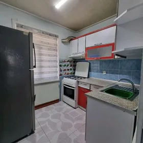 Mary ş 1 nji mik 2 komnat jaý