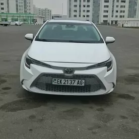 Toyota Corolla 2020