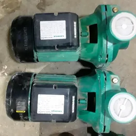 suv nasos SHIMGA SHFm5AM