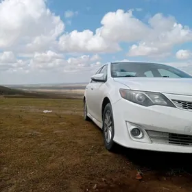 Taksi Safyor Masyn Gerek