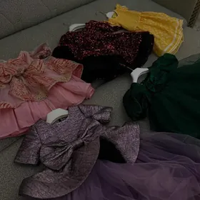 чага койнек