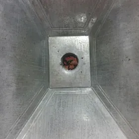 Зонд, Вытяжка