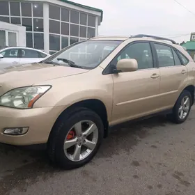 Lexus RX 330 2004