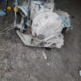 Korpka 3liknazat yok