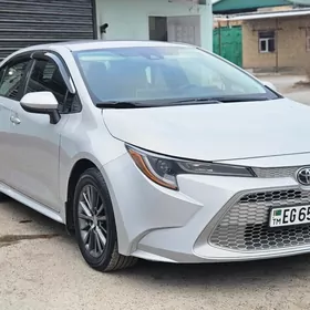 Toyota Corolla 2020