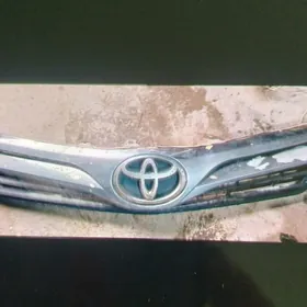 Palta kemry abilsowka