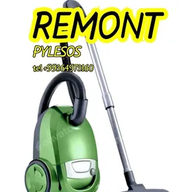 PYLESOS USSA  KIRMASYN USSA HOLODILNIK