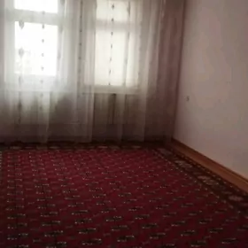 Ak-Altyn Mezlauka 3kom