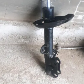 21haýlandyr amartzator