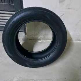 4 Pakryska yagdayy gowy