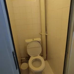 аренда мир2