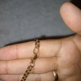 gyzyl kordinal sepocga