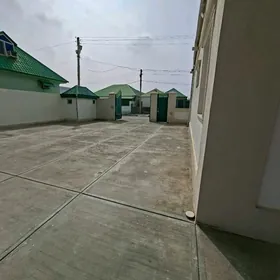 Arenda Anew Magtymguly