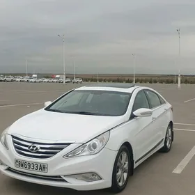 Hyundai Sonata 2010
