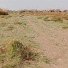 Satlyk 12sotuk Iskra