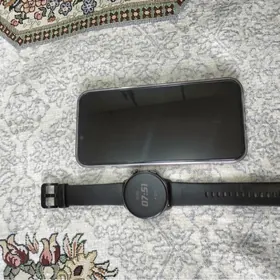 iphone 13pro max 256